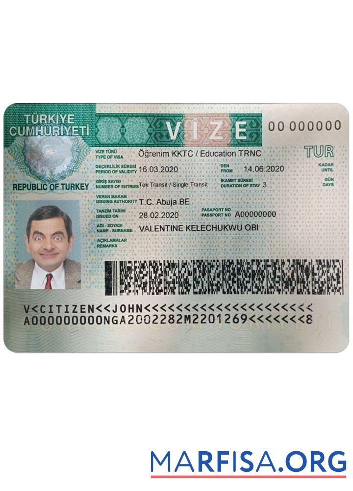Realistic Turkey visa sample